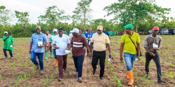 Bénin : le gouvernement évalue la phase pilote d’un programme agricole dans dix communes