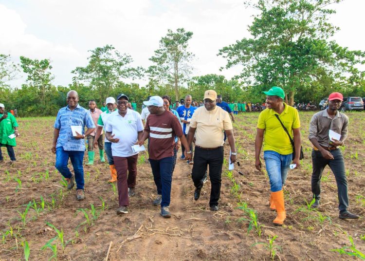 Bénin : le gouvernement évalue la phase pilote d’un programme agricole dans dix communes